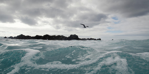 Similar image 7975477