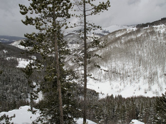 Similar image 7975481