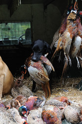 Similar image 7975482