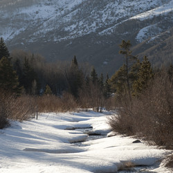 Similar image 7975514