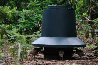 Similar image 7975530