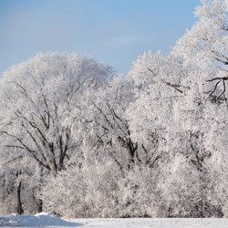 Similar image 7975531