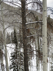 Similar image 7975532