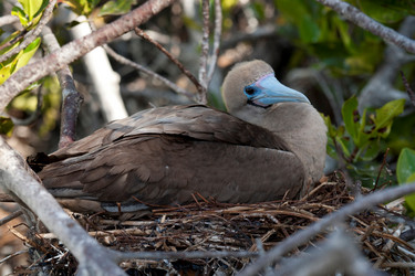 Similar image 7975537