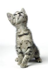 Similar image 7975551