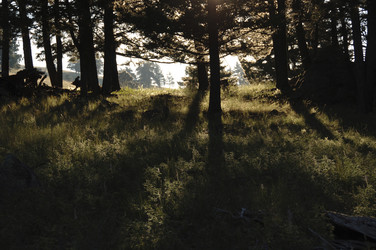 Similar image 7975562