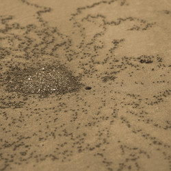 Similar image 7975568