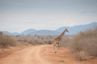 Similar image 7975592