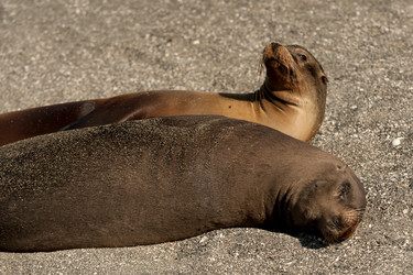 Similar image 7975593