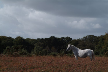 Similar image 7975598