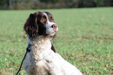 Similar image 7975601