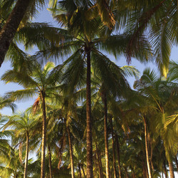 Similar image 7975607