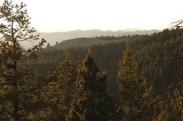 Similar image 7975609