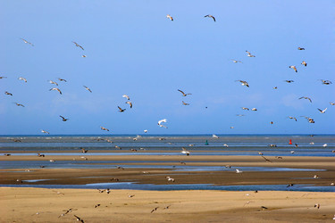 Similar image 7975616