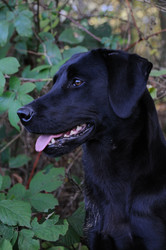 Similar image 7975618