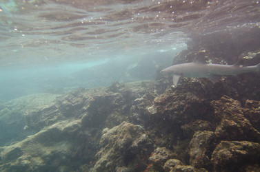 Similar image 7975627