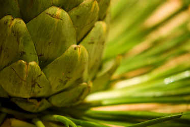 Similar image 7975638