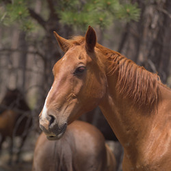 Similar image 7975639