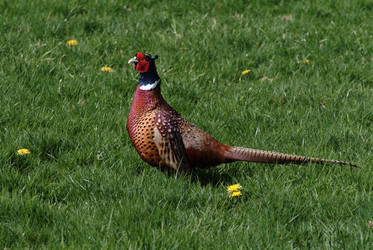 Similar image 7975643