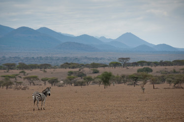 Similar image 7975655