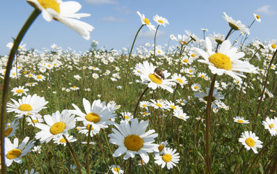 Similar image 7975663