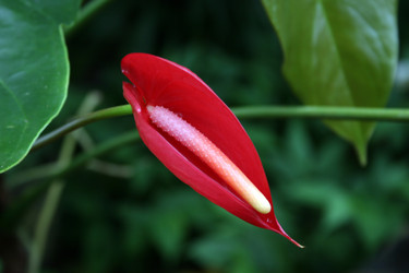 Similar image 7975664