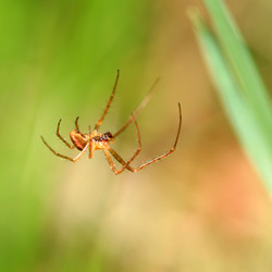 Similar image 7975675