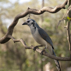 Similar image 7975682