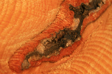 Similar image 7975687