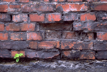 Similar image 7975691