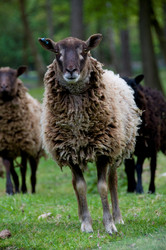 Similar image 7975702