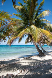 Similar image 7975703