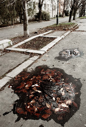 Similar image 7975715