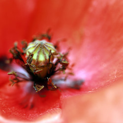 Similar image 7975718