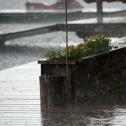 Similar image 7975719