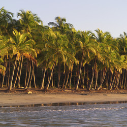 Similar image 7975722