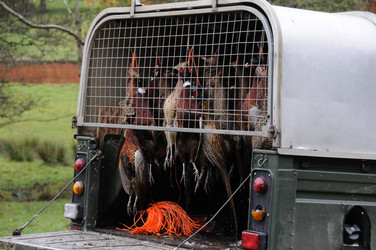 Similar image 7975726