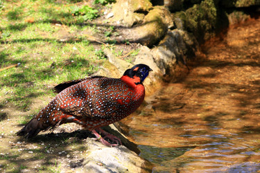 Similar image 7975731