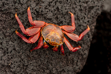 Similar image 7975737