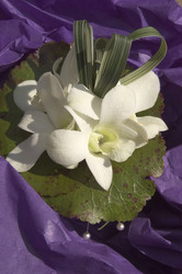 Similar image 7975740