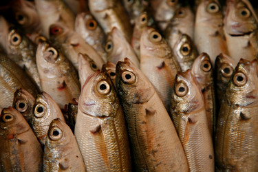 Similar image 7975741