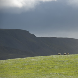 Similar image 7975748