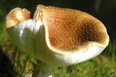 Similar image 7975749