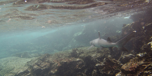 Similar image 7975750