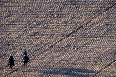 Similar image 7975753