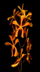 Similar image 7975757