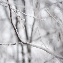 Similar image 7975759