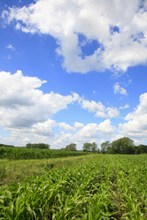 Similar image 7975760