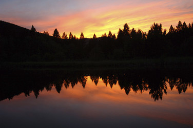 Similar image 7975765