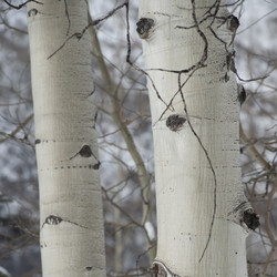 Similar image 7975768